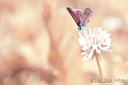 只要你在走,总会看到进步 (6)