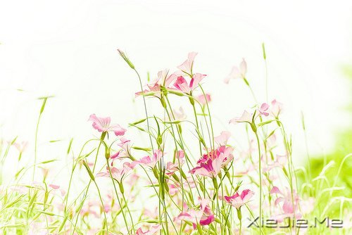 һ��һ�⣬������������������� (8)