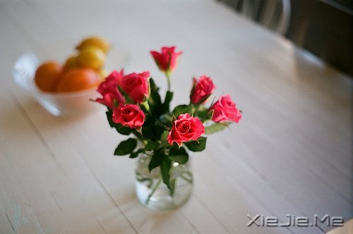 若你懂得,就请珍惜 (8)