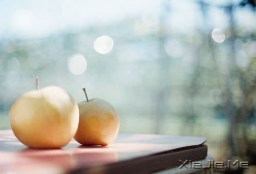 不要停止追赶某些东西,比如梦想 (11)