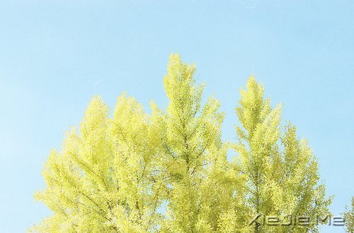 好好生活,做一个接近幸福的人 (3)