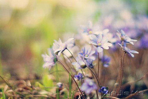 做最真实的自己,才是最好的 (2)