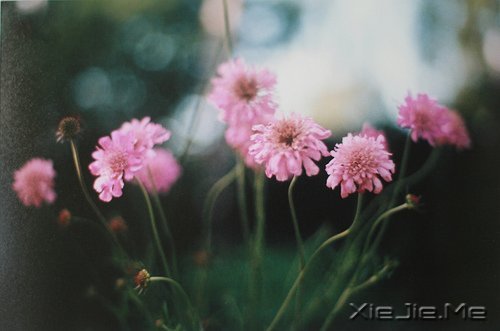 做最真实的自己,才是最好的 (9)