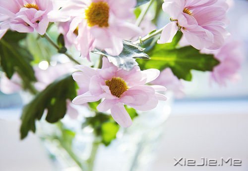 无论发生什么,先善待自己 (6)