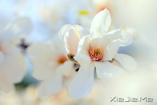 我不怕长大,而是怕你们老去 (8)