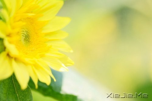 只有知足感恩,才能笑对人生 (1)