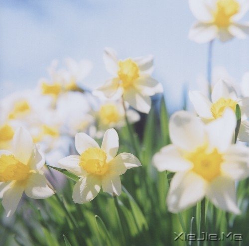 爱自己的人,才会有人爱 (3)