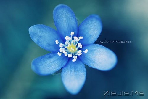 淡然一切,往事如烟 (1)