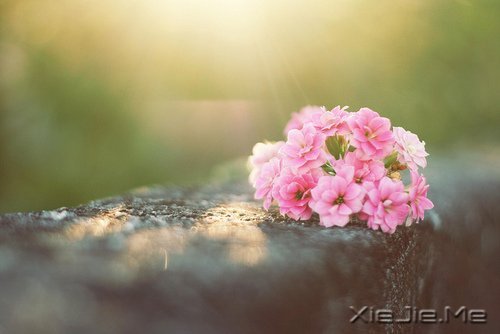 人生有多残酷,你就该有多坚强 (1)