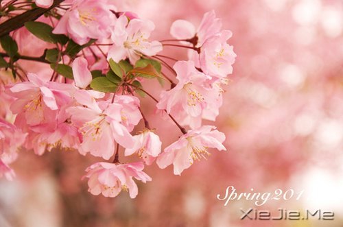 风雨人生,给自己一个微笑 (3)