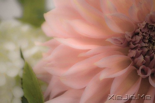 ·���ഺһ���ӣ��������ǳһ���� (9)