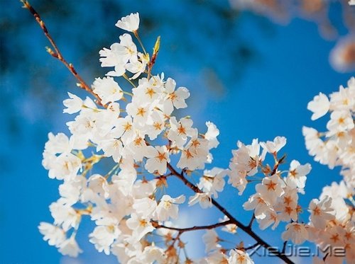 很多道理我们都是心知道,却做不到 (8)