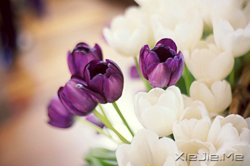 ����˥�ϵĲ������գ����ǲ��ҽ�ȡ���� (2)