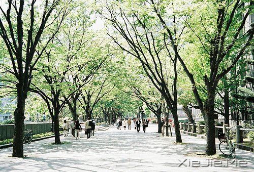 �������ֻ���벻ͨ���ˣ�û���߲�ͨ��· (9)