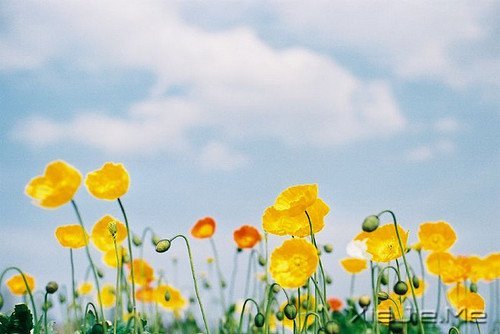 �簲�������ǰ�ߣ��㽫��Զͣ�� (6)