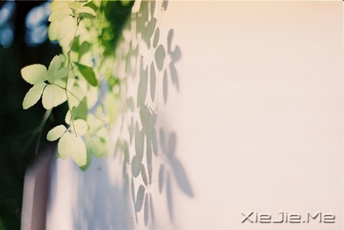 �簲��������������Ҹ��Ǽ������˰������� (3)