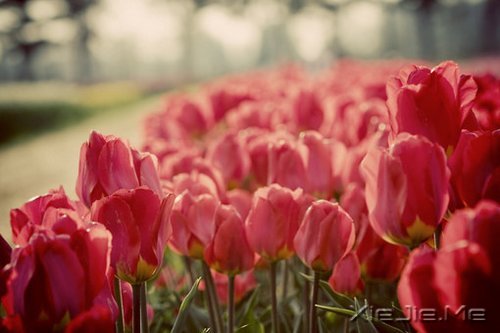 �簲�������ʱҪ������ʧ��ʱҪ���� (7)