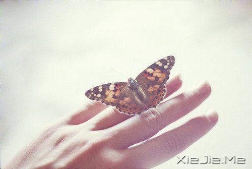 ʱ�䲻�����㿴͸���ˣ�Ҳ���������Լ� (4)