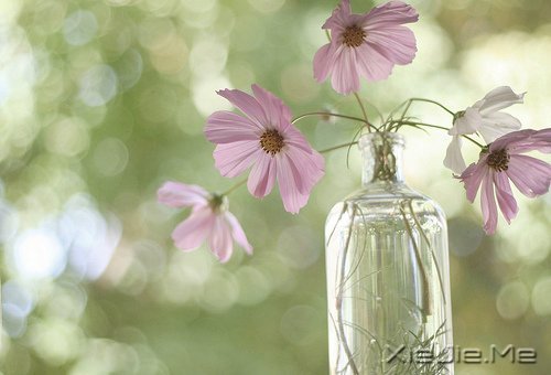 ������������������ǵ�Ȼ (7)