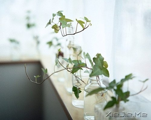 ������������ʱ����������Ӧ���Ǽ�ǿ (5)