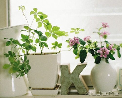 ������Ŭ������Լ�ϲ�����Ǹ��Լ� (2)