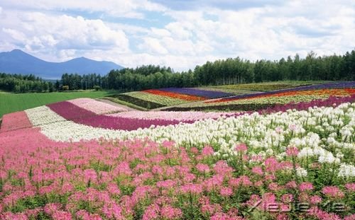 早安心语:人生,就是你一个人的人生 (3)