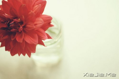 �������������������������� (4)