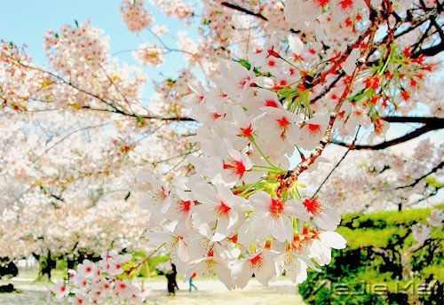 �簲����谮�Լ�����������Ҫ�� (7)