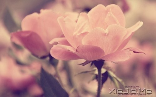 ��δ���������������ǰ�һ���׸����� (2)