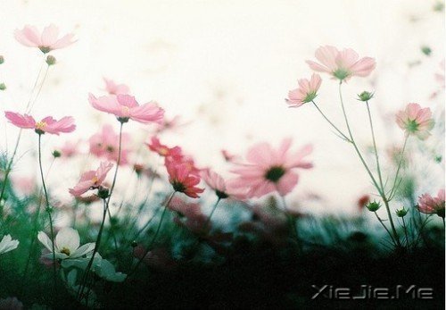 �簲�������һ��·��ͨ��ʺ���� (9)