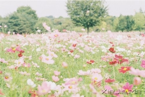 ��������¸����΢Ц��� (7)