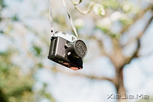 �������������������ź�����δ���������� (8)