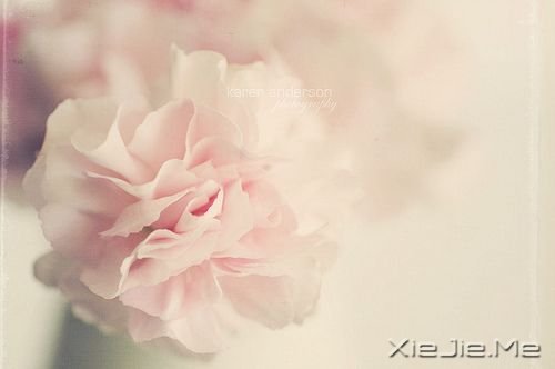 �������������������Լ� (7)