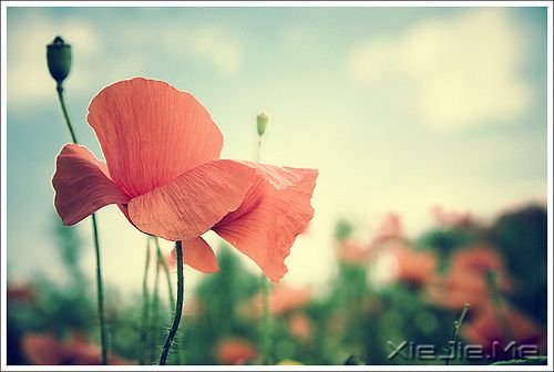 �������������������Լ� (10)