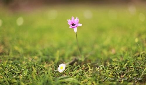 �����������һ�ο���������˲�䳤�� (9)