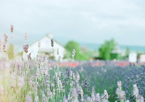 �簲����չ�ÿ���˵ĸ��ܣ�ע���Լ�������� (9)