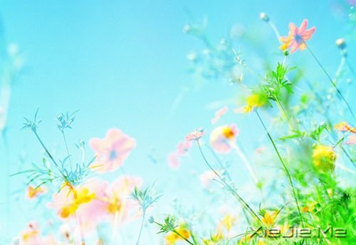 �簲��������ܻ������һ�����ᣬ������������ (1)