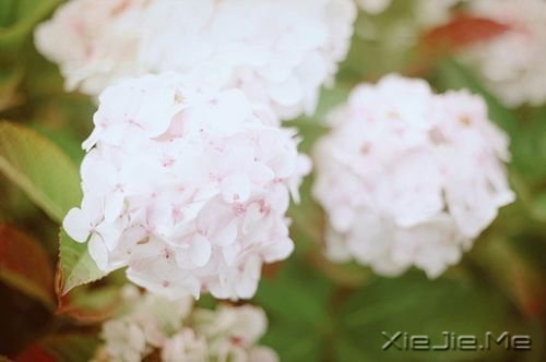 晚安心语:若无其事,原来是最狠的报复 (3)