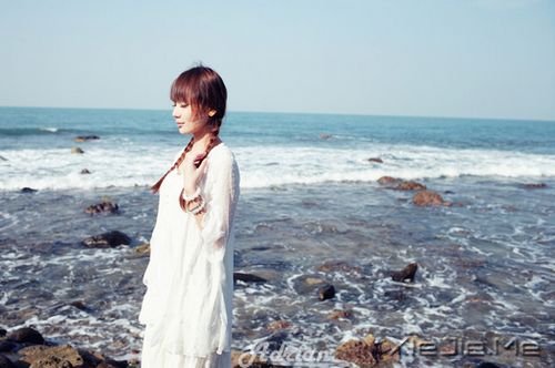 �����������̫͸����ͻ�������Ĺ¶� (3)