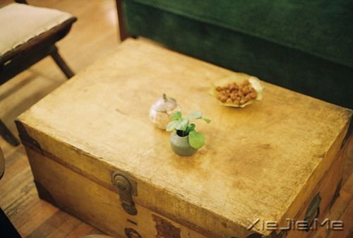 ��������ҵ�Ը���ǣ�һ��˯��Сʱ�� (4)