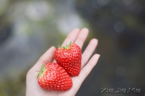 晚安心语:牵手走下去,直到地老天荒 (6)