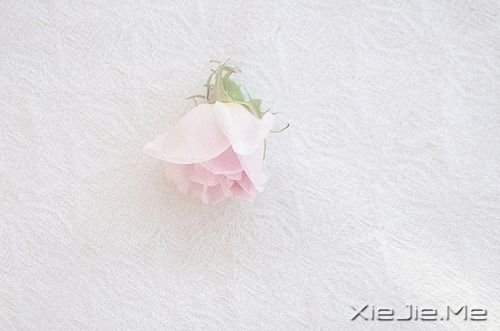 晚安心语:有一些教训没办法教,只有自己经历过才会懂 (10)