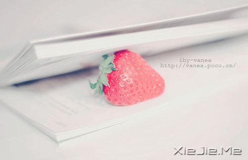 早安心语:日久不一定生情,但必定见人心 (3)