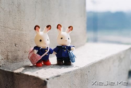 晚安心语:你来过一阵子,我却怀念了一辈子 (7)