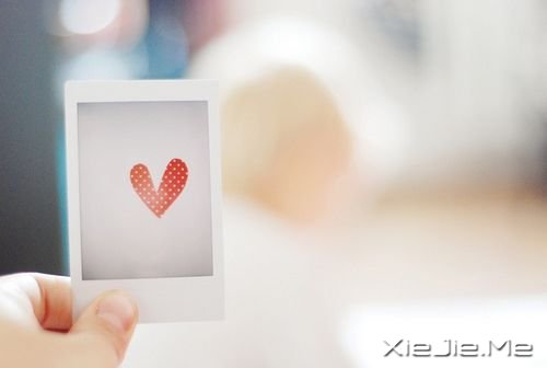 晚安心语:用最多的梦想面对未来 (5)