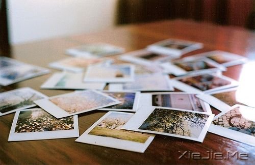 歌词心语:那些如人意 贴人心的歌词 (9)