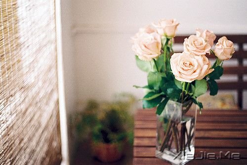 走在一起是缘分,一起在走是幸福 (4) 走在一起是缘分,一起在走是幸福 (4)