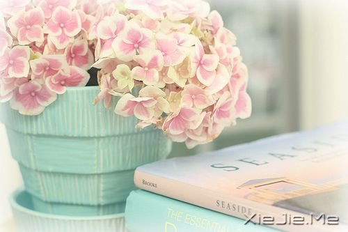 遇见了,就好好珍惜 (11) 小清新图片 (11)