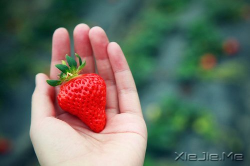 �簲�����һ���������ж����߹� (6)