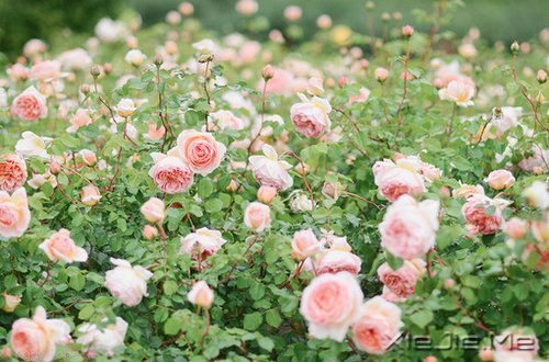 改变人生的21个演讲